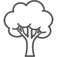 Arbres